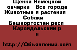 Щенки Немецкой овчарки - Все города Животные и растения » Собаки   . Башкортостан респ.,Караидельский р-н